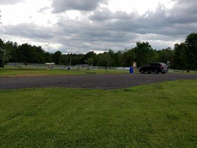 park with SUV in background