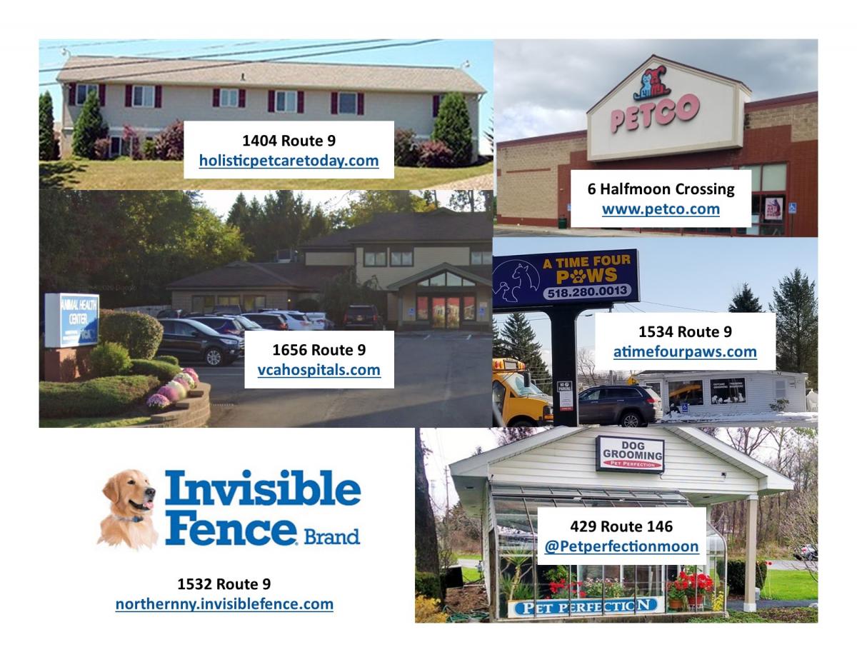 local pet stores