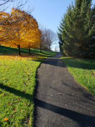 sheldon trail