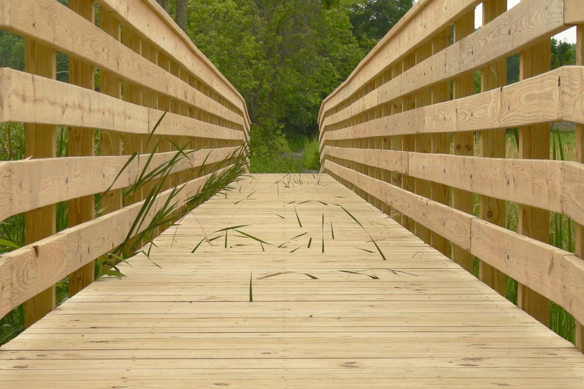 Town Park Trail