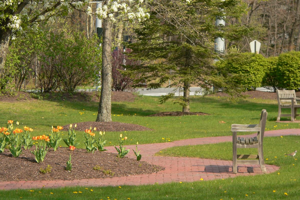 Abele Park