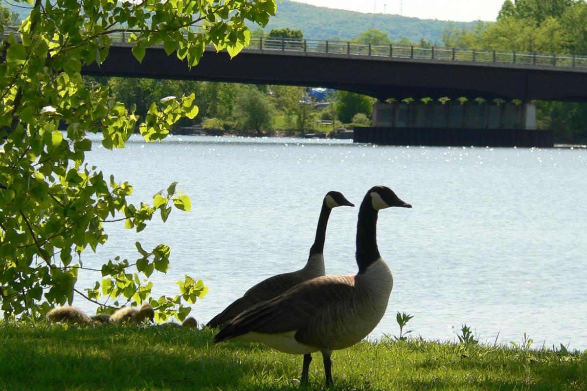 Crescent Trail